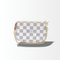 Louis Vuitton Mini Pochette Accessoires