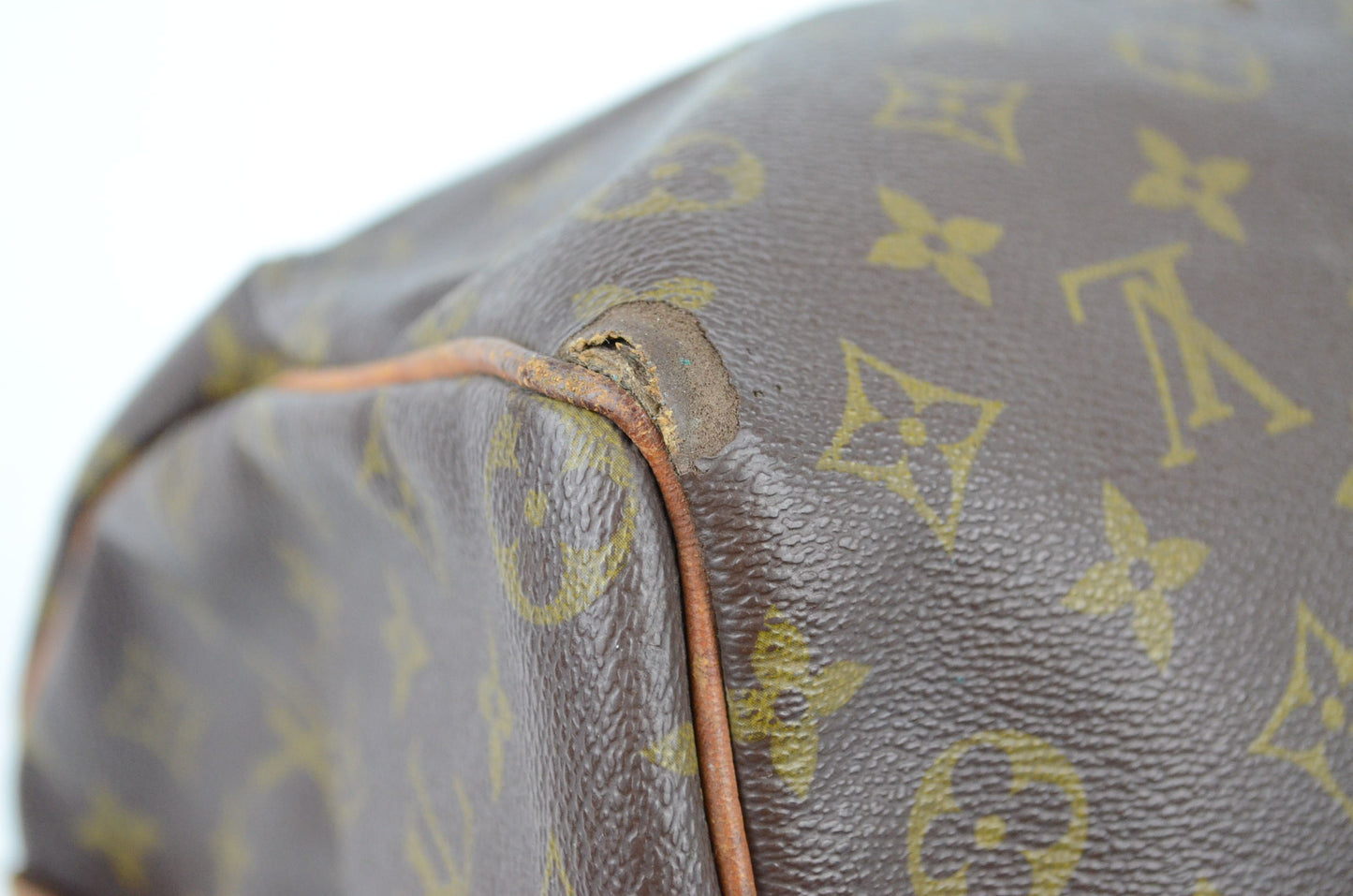 Louis Vuitton Speedy Monogram Canvas