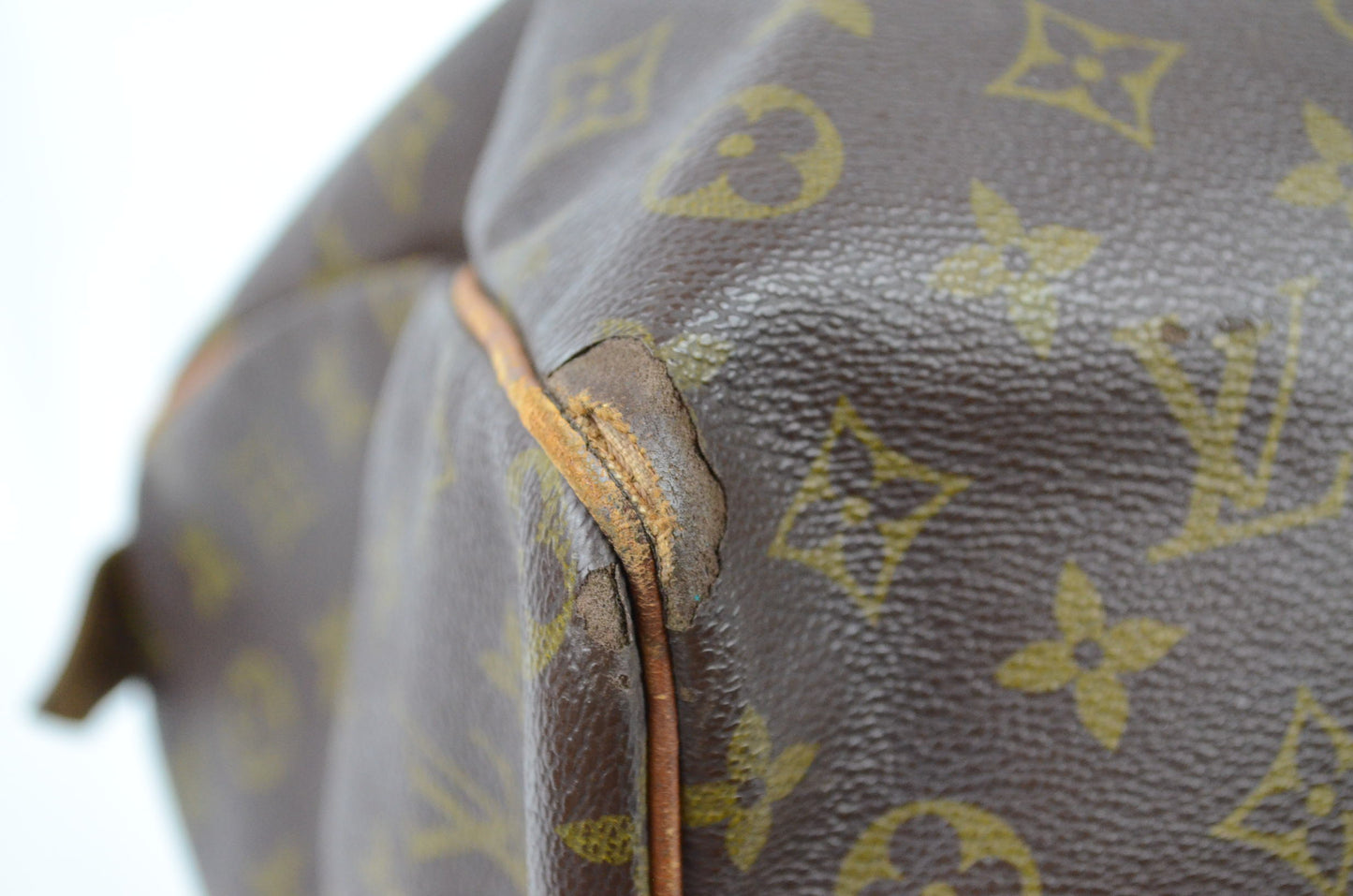 Louis Vuitton Speedy Monogram Canvas