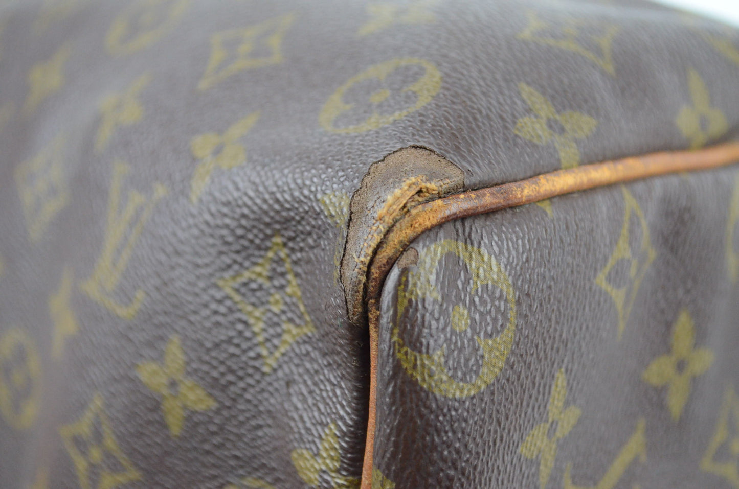 Louis Vuitton Speedy Monogram Canvas