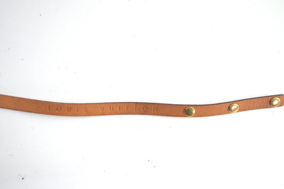 Louis Vuitton Pochette Florentine
