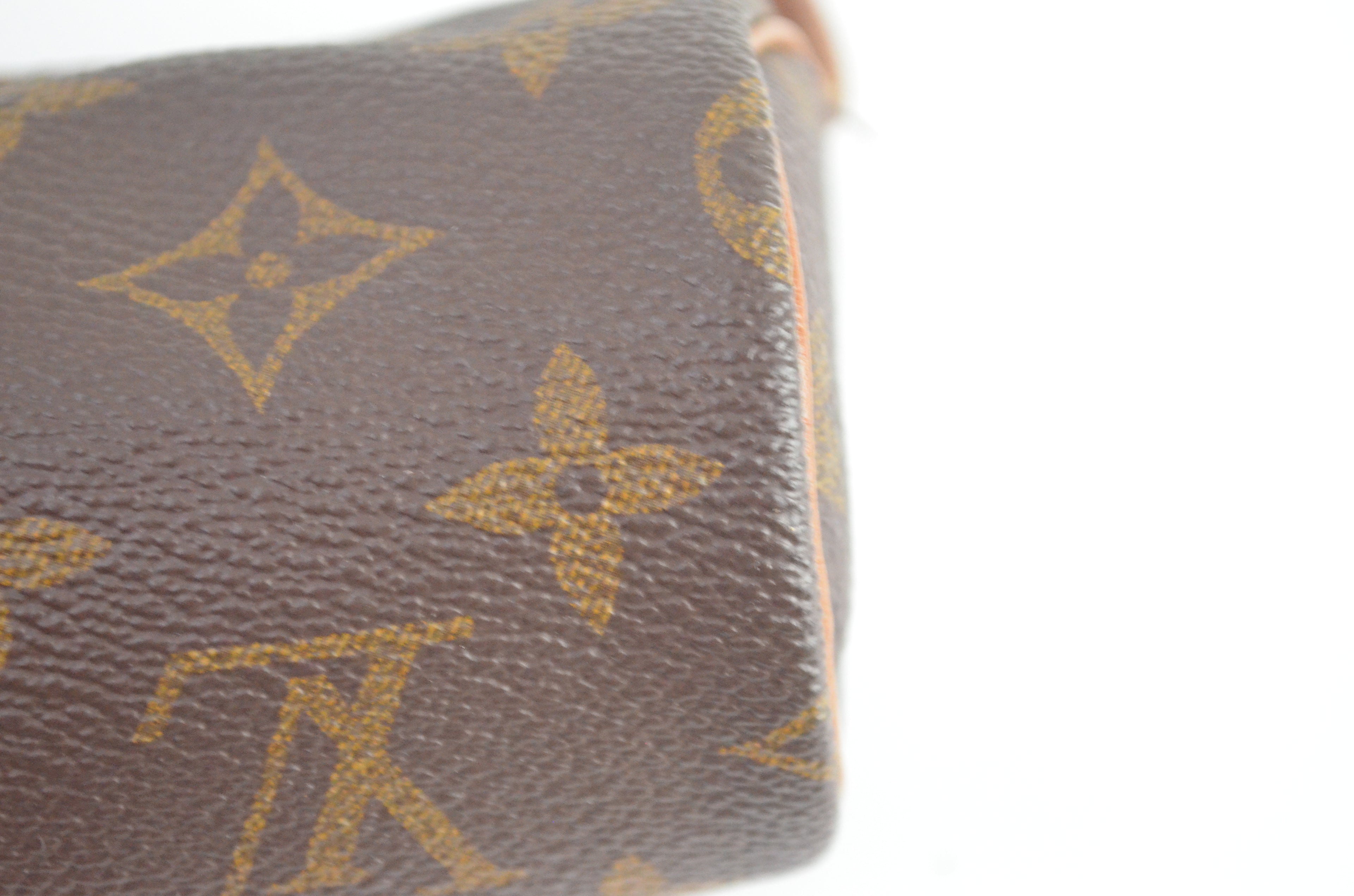Louis Vuitton Mini Papillon