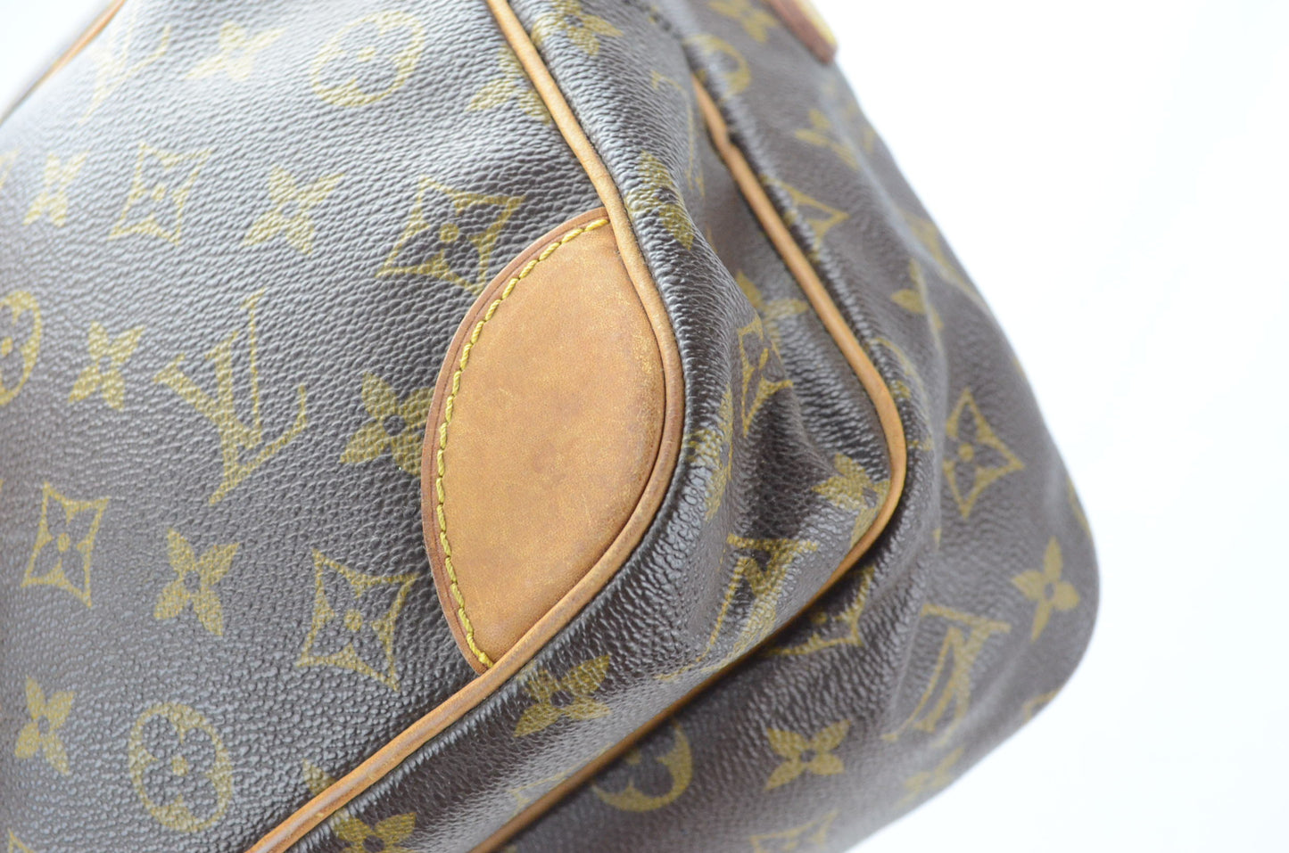 Louis Vuitton Amazon Monogram Canvas