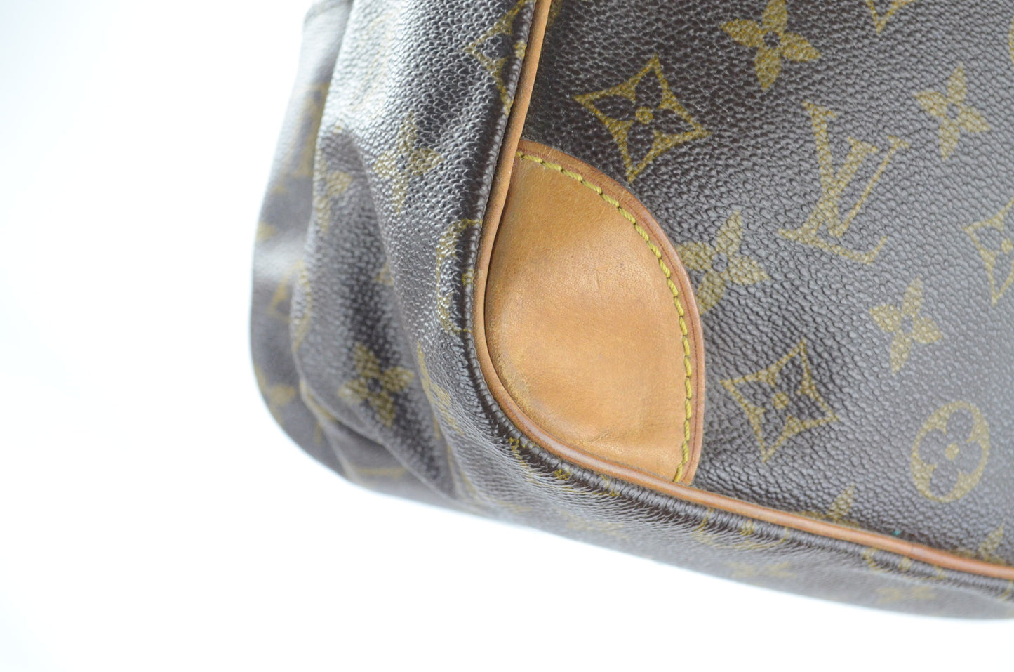 Louis Vuitton Amazon Monogram Canvas