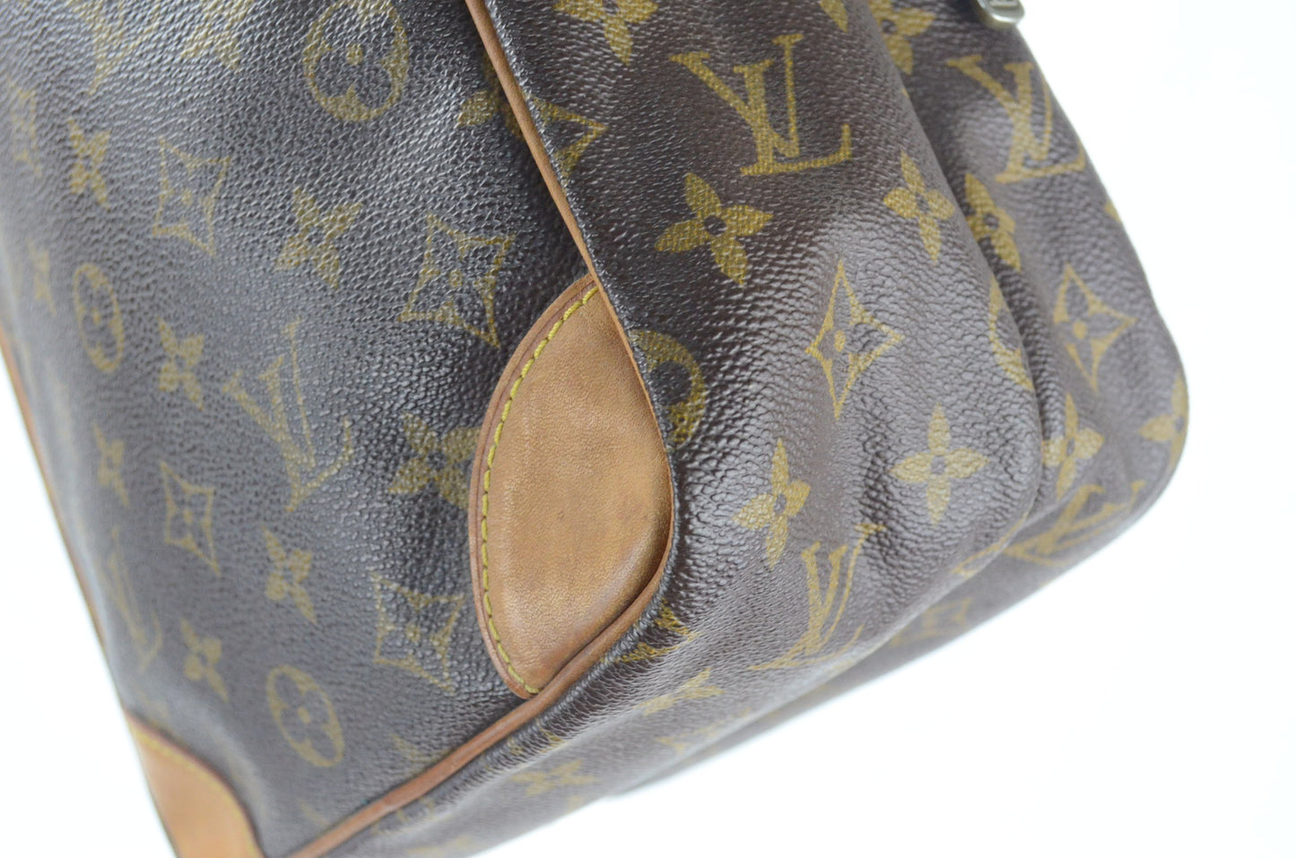 Louis Vuitton Amazon Monogram Canvas