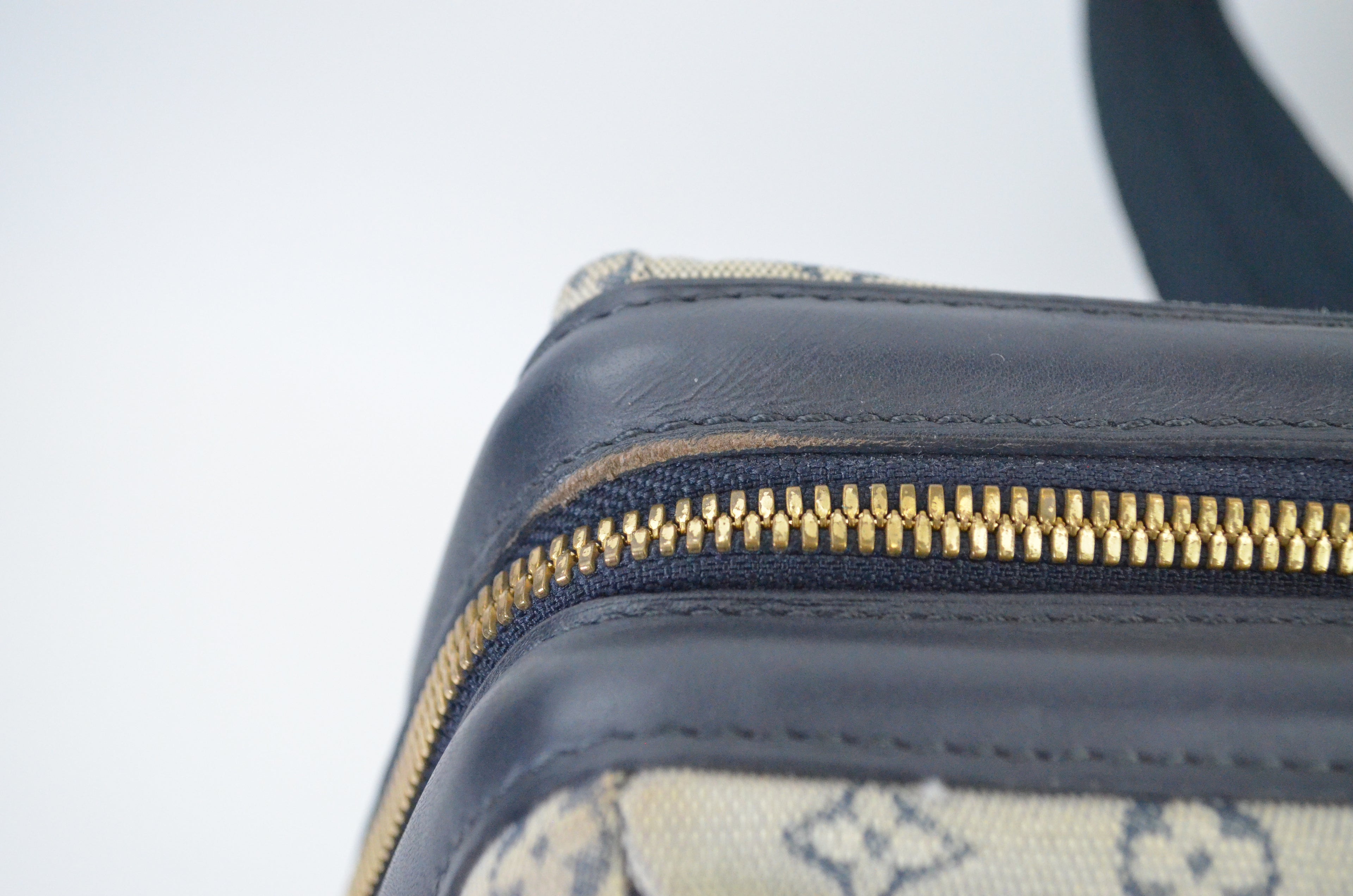 Louis Vuitton Josephine Mini Lin
