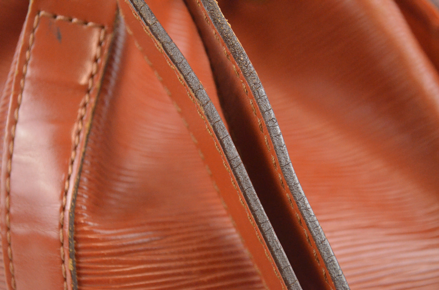 Louis Vuitton Noe Epi Leder