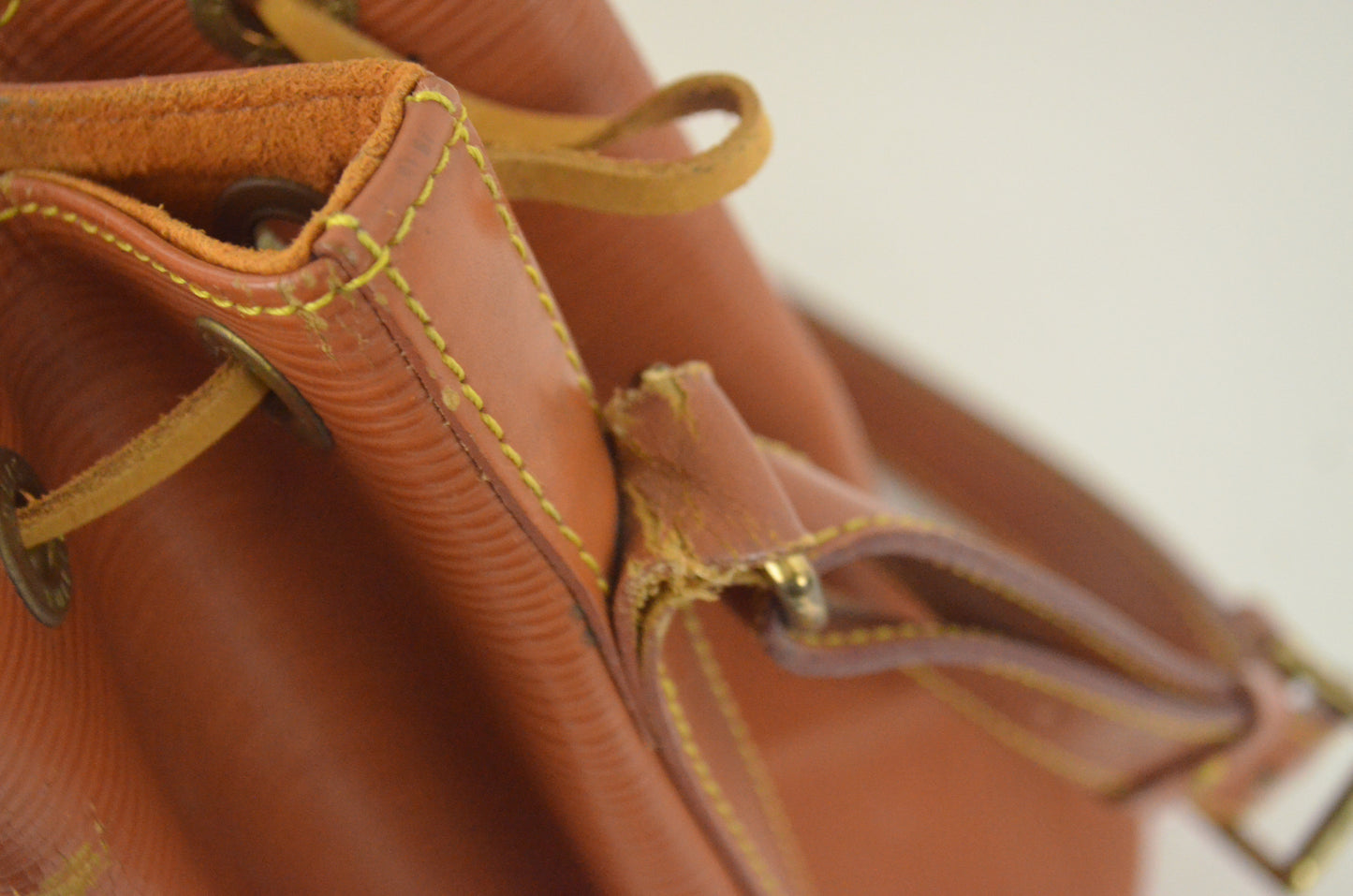 Louis Vuitton Noé Epi Leder