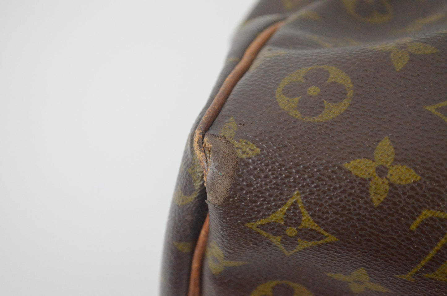 Louis Vuitton Speedy