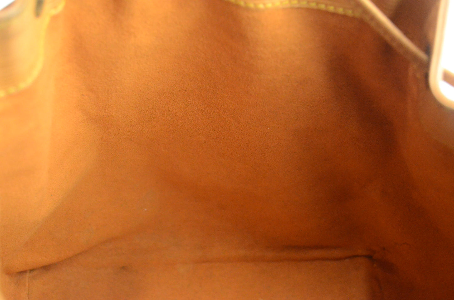 Louis Vuitton Noé Epi Leder
