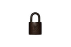 Louis Vuitton Padlock Vorhängeschloss Gold Nr.307