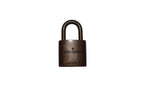 Louis Vuitton Padlock Vorhängeschloss Gold Nr.307